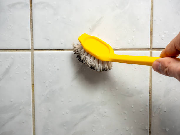 Best Emergency Mold Removal  in Angola, NY