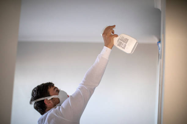 Best Residential Mold Removal  in Angola, NY