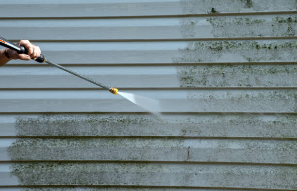Best Certified Mold Removal  in Angola, NY