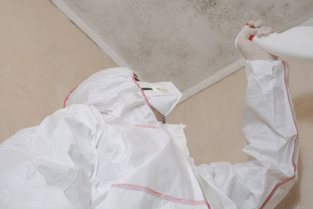 Best Office Mold Removal Services  in Angola, NY