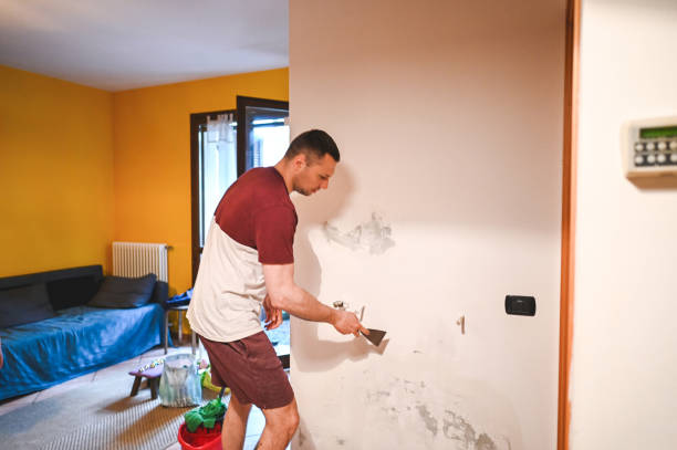 Best Office Mold Removal Services  in Angola, NY