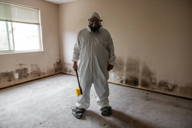 Best Professional Mold Removal  in Angola, NY